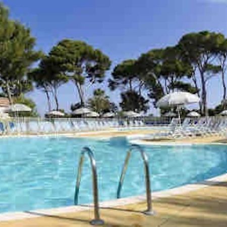 La Baleine Verte Villa Calvisson Ngoại thất bức ảnh